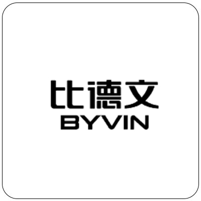 比德文/BYVIN電動車圖片